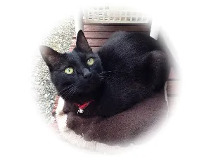 こすいち@機械設計/CAD