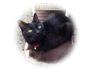 こすいち@機械設計/CAD