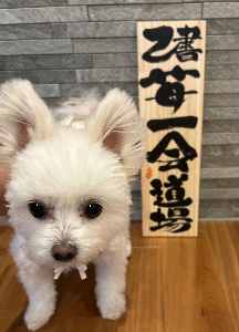 己書苺一会道場