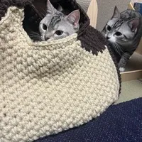 ちー🐾巻き爪改善サポート