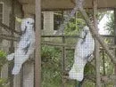 コンタカ