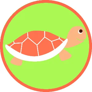 かめあゆ