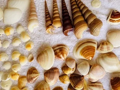 beach glass