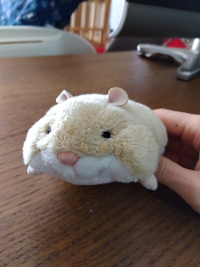 えいち