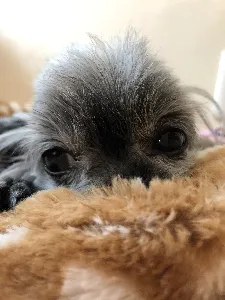 Noahへの愛が止まらない