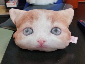 もりつち@ゲームと旅が趣味です