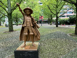 ゆきライス@熊本の金持ち農家