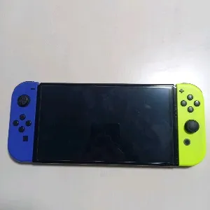 スイッチ大好き　小3