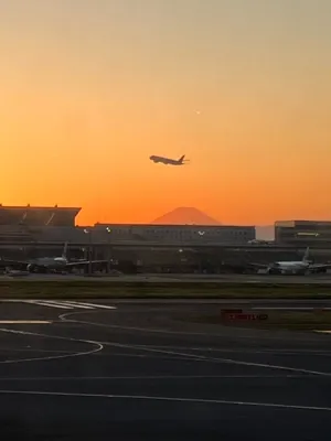 とろろ