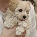 もっちゃん　インスタ全力でやる！