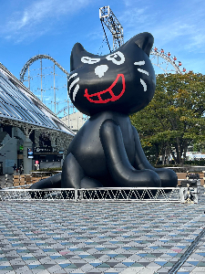 きゃん＠中国輸入/トレカせどり