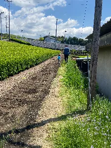 たきど