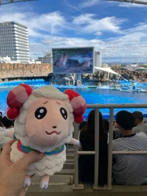 ちゃちゃまる