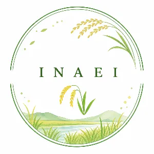 INAEI