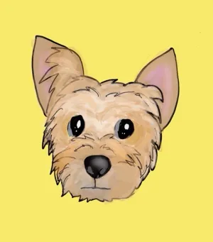 tomo