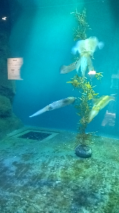 あべやすこ/看護師/動画編集