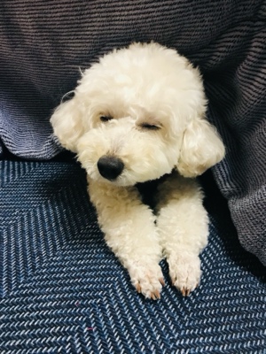 にこ＠門前薬局なるみちゃん