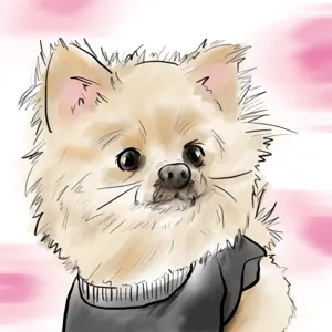 sina@経理サポート×骨盤調整🌿