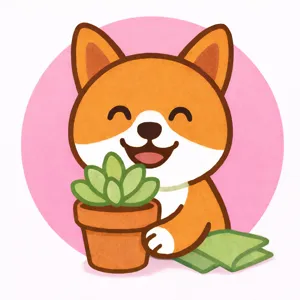 ぱるむ@多肉植物好き💚