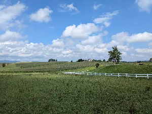 NT