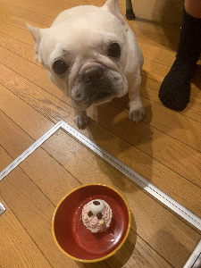 ももこ