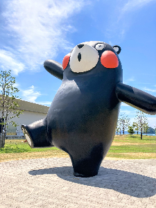 toyo