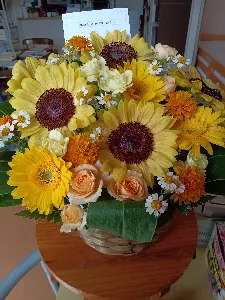 さちか🌻🍀