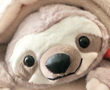 ぱん@看護師×インスタ×デザイン