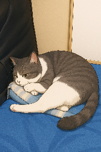 つかさ＠副業に挑戦したい！