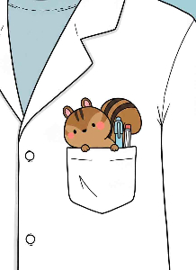 ぽっけ@ブログ挑戦中