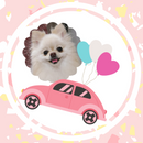 キキのクルマカタログ@YouTube