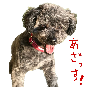 みや@Youtube挑戦する！