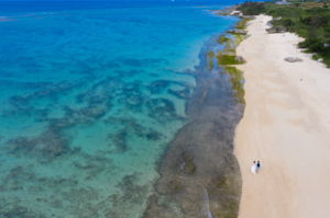 キキ@薬剤師ママ