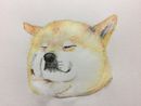 にっく