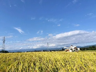 すっすー@11代目兼業米農家