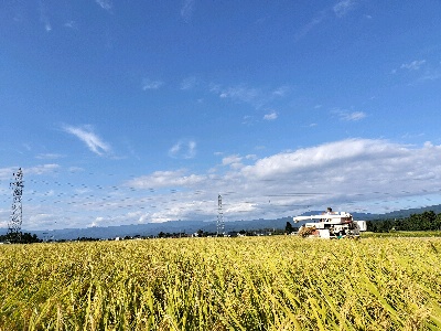 すっすー@11代目兼業米農家