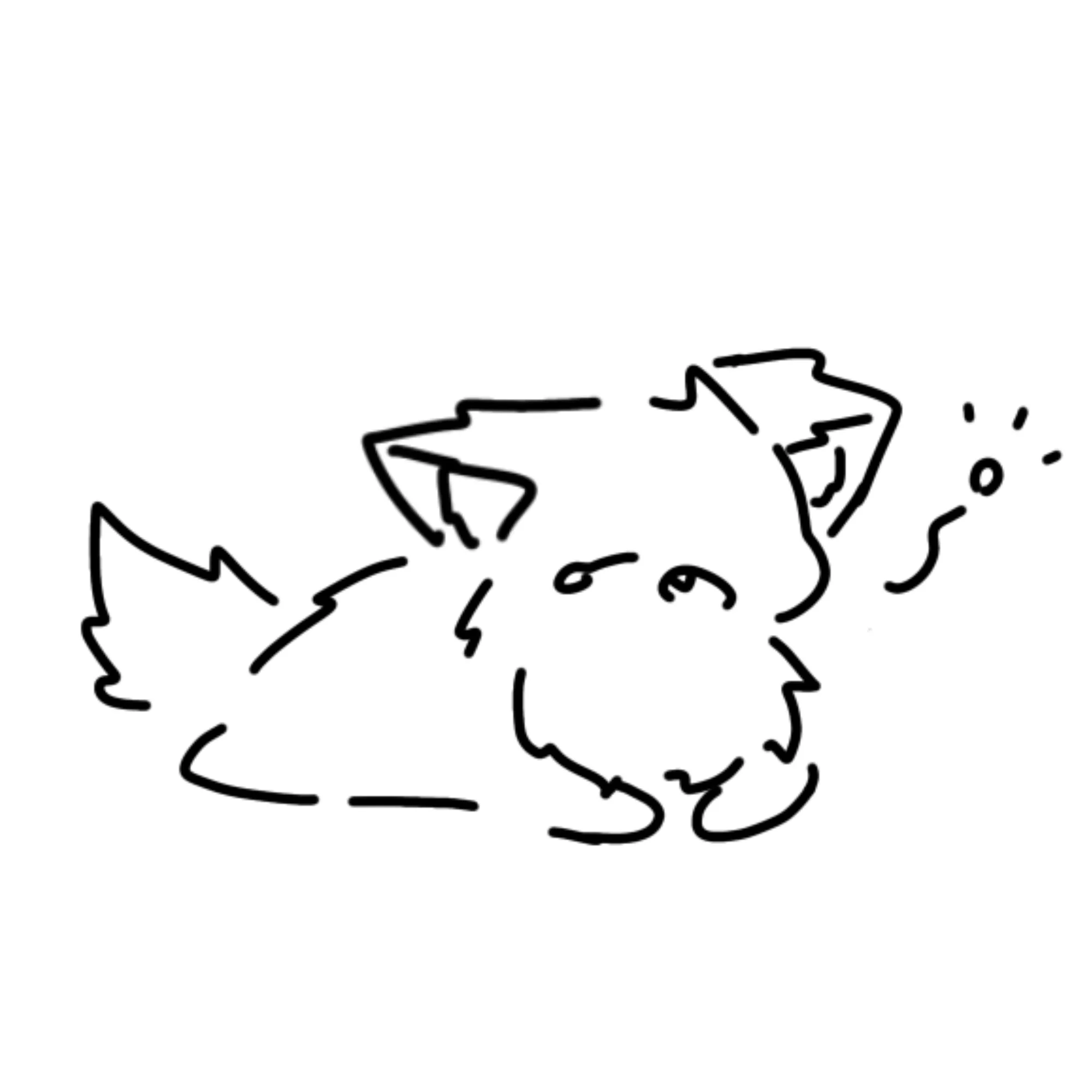クッキー