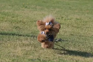 おっくんー