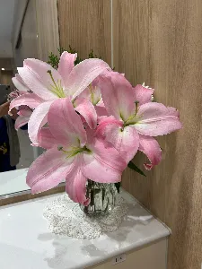 mikayo