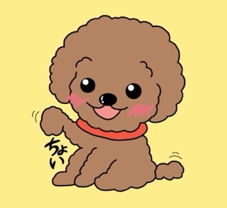 ちょいプードル@Amazonせどり