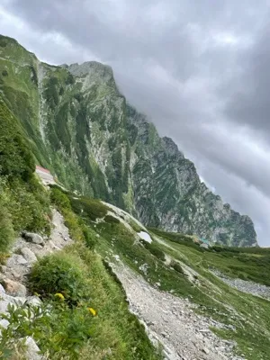 レオの助