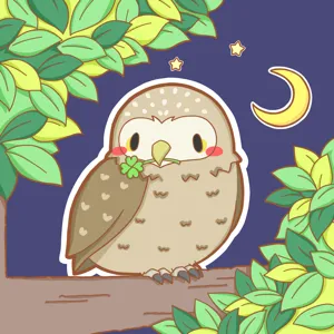KOKIN / 森の小さな焙煎所