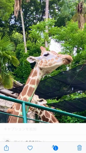 ニット