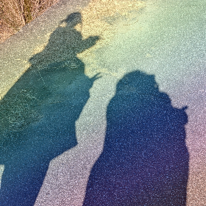 shio@簿記3級勉強中✏️