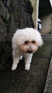 ユーザーアイコン