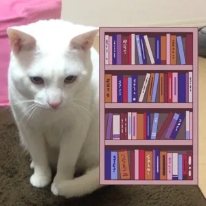 本棚