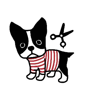 ふくみみ@カメラ好きワンコ好き美容師🐾