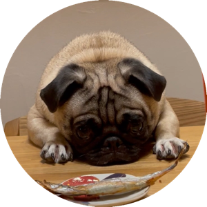 ナッシュ@3兄弟の父 家計管理実施中