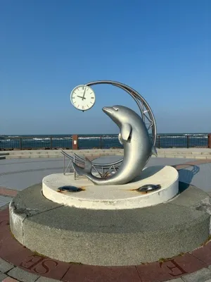 タックン