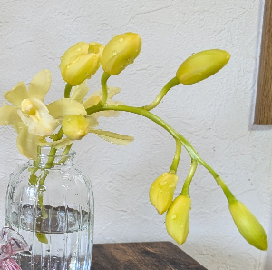 もみじ606（ロクマルロク）♪〜